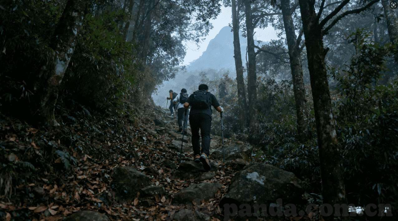 世界杯瑞士数据-世界杯瑞士数据，解析瑞士足球的稳健与实力